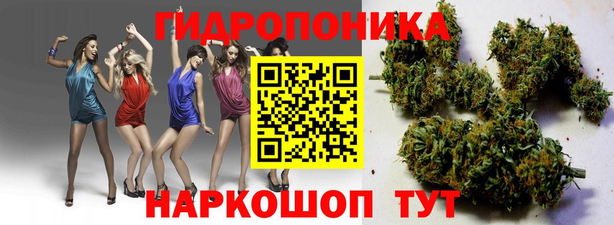 Бошки Шишки план  Канабис Amnesia  Каннабис семена  Вход с VPN  Бошки Шишки марихуана  Богданович 